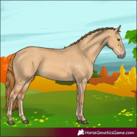 Horse Color:Red Dun 