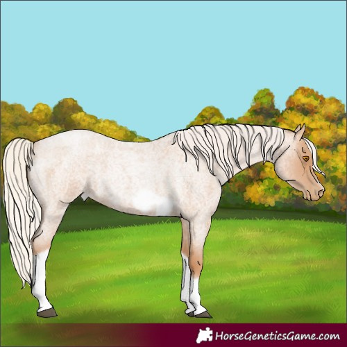 Horse Color:Silver Blue Roan Pearl Tobiano Frame 