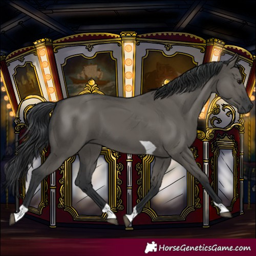 Horse Color:Grullo Tobiano