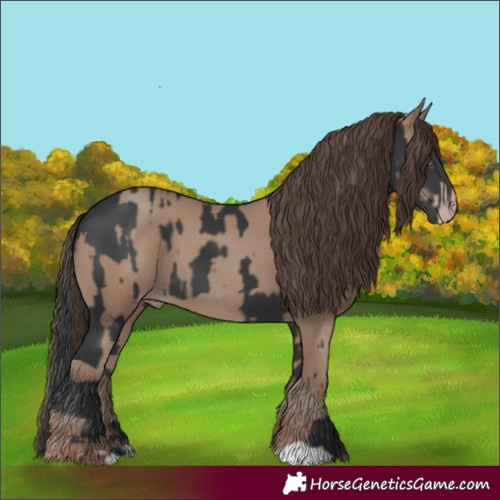 Horse Color:Black  and Classic Champagne 