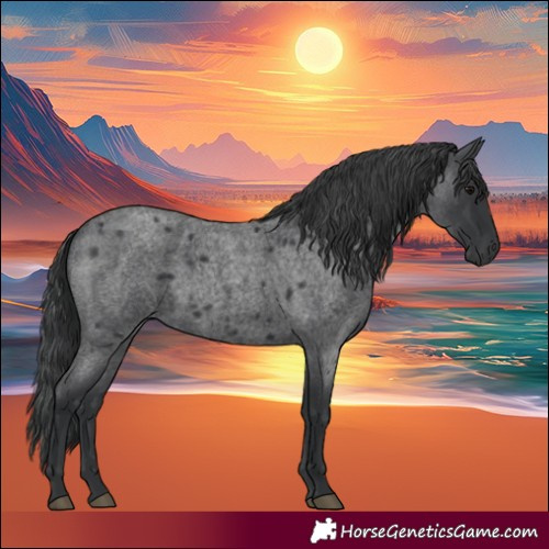 Horse Color:Blue Roan 