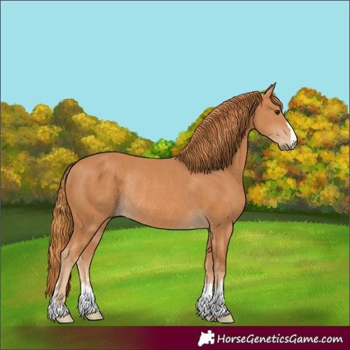 Horse Color:Chestnut Rabicano 