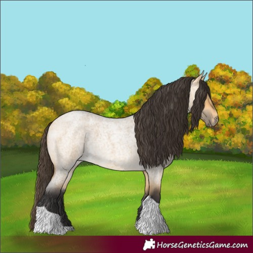 Horse Color:Buckskin Roan Dun Tobiano 