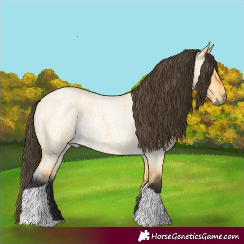 Horse Color:Buckskin Roan Dun Tobiano 