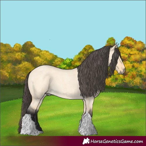 Horse Color:Buckskin Roan Dun Tobiano 