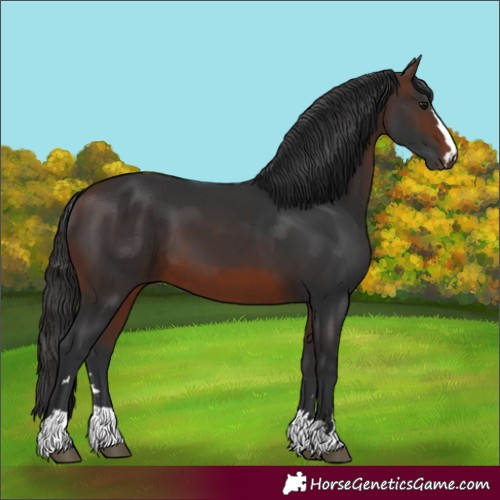 Horse Color:Brown 