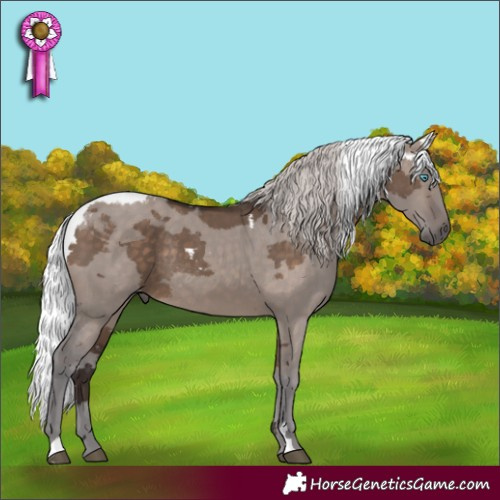 Horse Color:Silver Brown Dun Merle Rabicano 