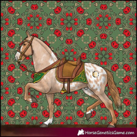 Horse Color:Red Roan Splash Blanket 