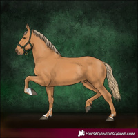 Horse Color:Chestnut Rabicano 