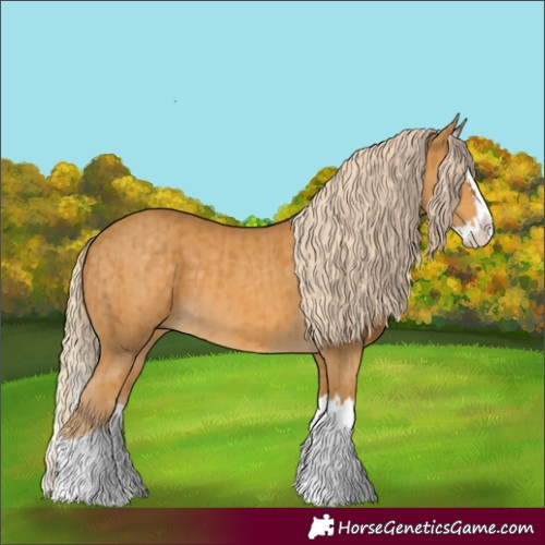 Horse Color:Palomino Splash  and Palomino Splash 