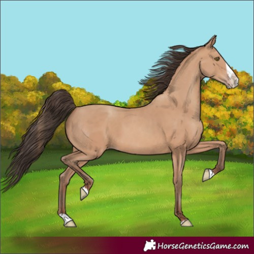 Horse Color:Amber Champagne Splash 