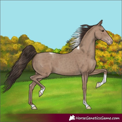 Horse Color:Classic Champagne Tobiano 