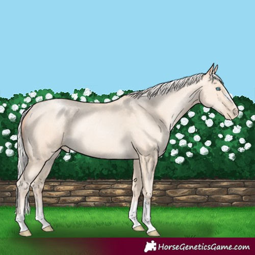 Horse Color:Silver Sable Cream Champagne Pearl 