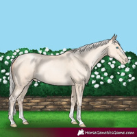 Horse Color:Silver Sable Cream Champagne Pearl 