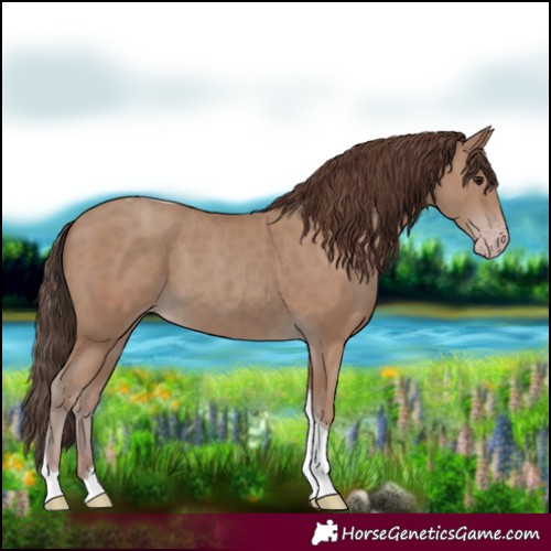 Horse Color:Classic Champagne Tobiano
