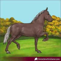 Horse Color:Silver Black 