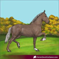 Horse Color:Silver Black 