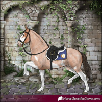 Horse Color:Bay Roan Splash Frame