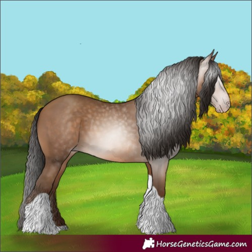 Horse Color:Gray Amber Champagne Tobiano