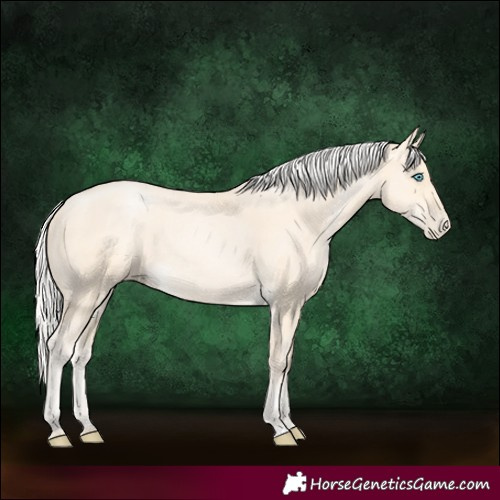 Horse Color:Silver Buckskin Pearl 