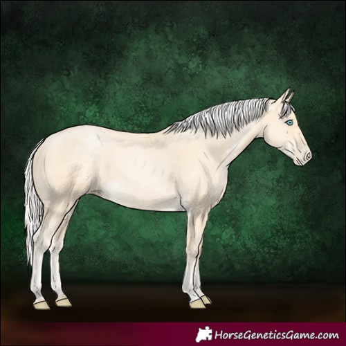 Horse Color:Silver Buckskin Pearl