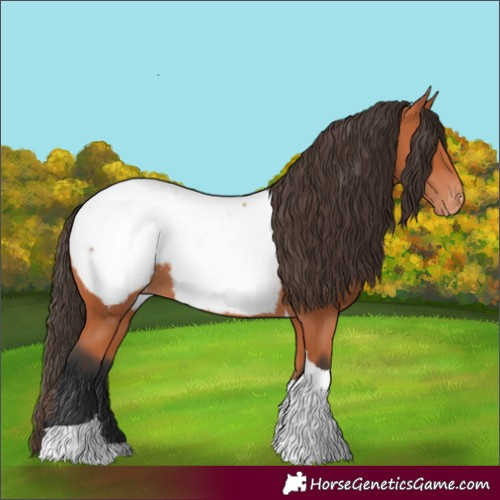 Horse Color:Bay Tobiano Snowcap