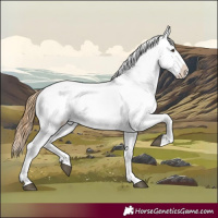 Horse Color:Chestnut Tobiano Appaloosa