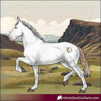 Horse Color:Chestnut Tobiano Snowcap 