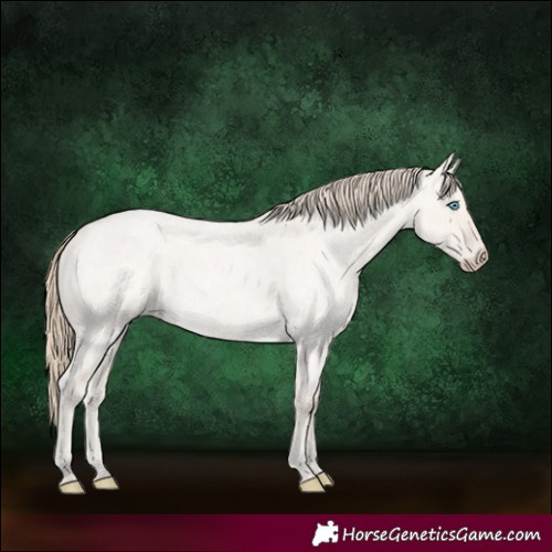 Horse Color:Smoky Creme Roan Dun 