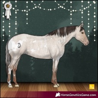 Horse Color:White Spotted Classic Champagne Roan Dun 