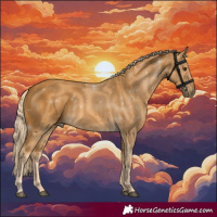 Horse Color:Palomino 