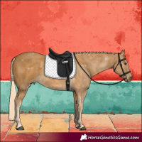 Horse Color:Palomino 