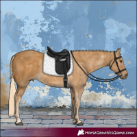 Horse Color:Palomino 