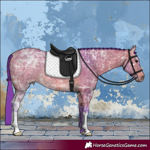 Horse Color:Watercolor Bay Ice 