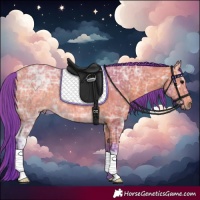 Horse Color:Watercolor Bay Ice