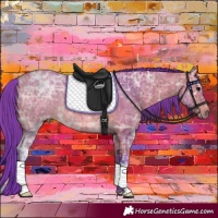 Horse Color:Watercolor Bay Ice 