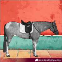 Horse Color:Black Tobiano 