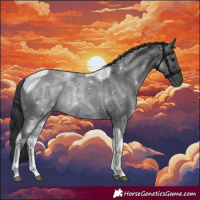 Horse Color:Black Tobiano 