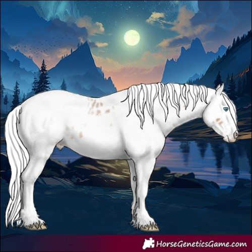 Horse Color:Amber Champagne Roan Merle Near Leopard 