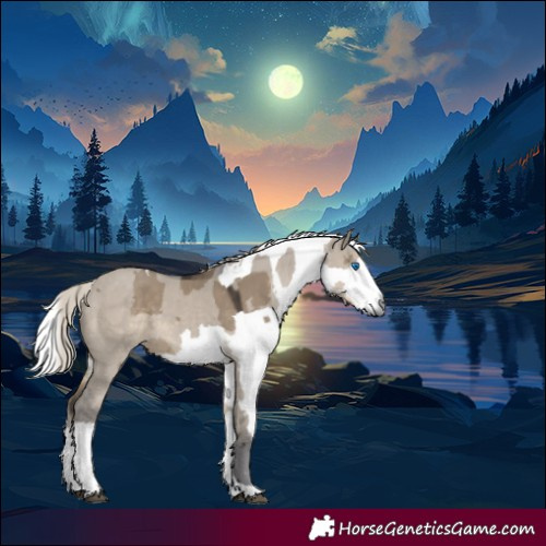 Horse Color:Silver Smoky Grullo Merle 