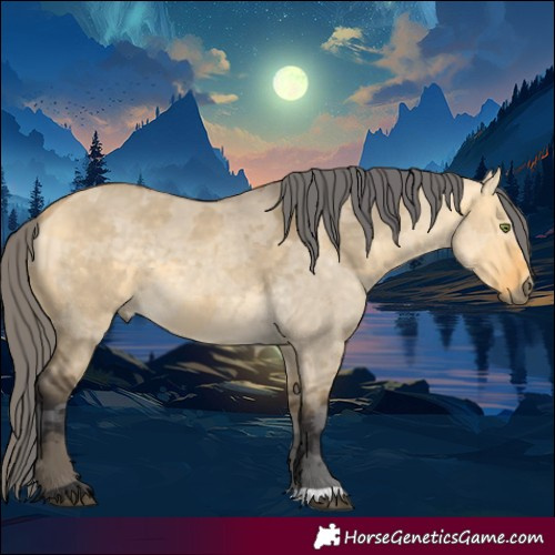 Horse Color:Buckskin Dun Mushroom Merle 