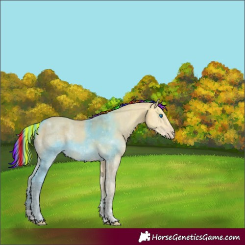 Horse Color:Painted Amber Cream Champagne Ice Dun Merle 