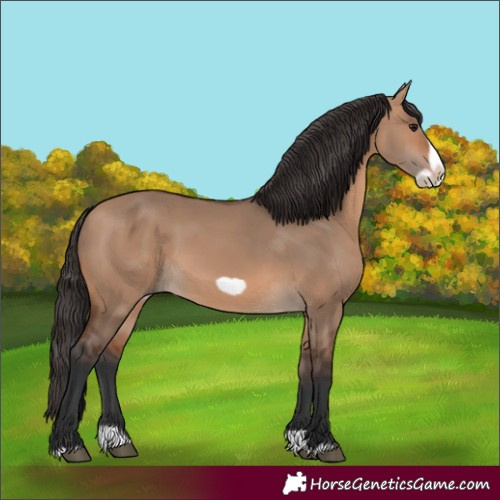 Horse Color:Bay Dun Splash Frame 