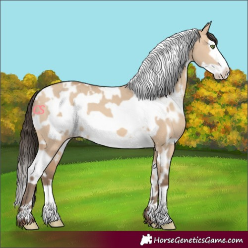 Horse Color:White Spotted Amber Champagne Dun Frame 