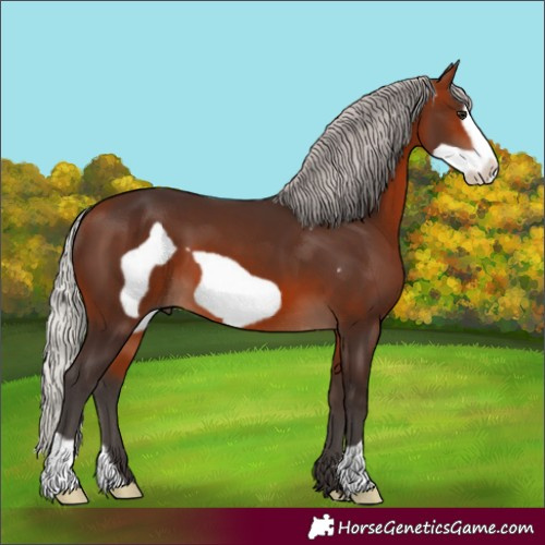 Horse Color:Silver Brown Frame 