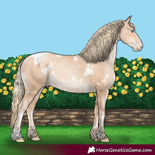 Horse Color:White Spotted Gold Champagne Pearl 