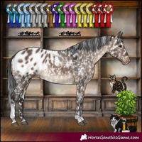 Horse Color:White Spotted Brown Dun Tobiano Appaloosa 