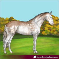 Horse Color:Gray Perlino Splash  and Gray Perlino Splash 