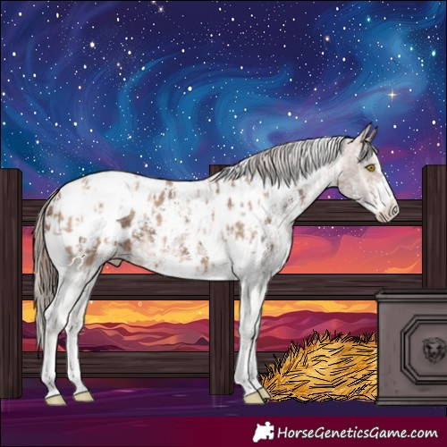 Horse Color:Amber Champagne Sabino Tobiano Blanket  and Bay Sabino Tobiano Blanket 