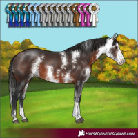 Horse Color:Brown Sabino 